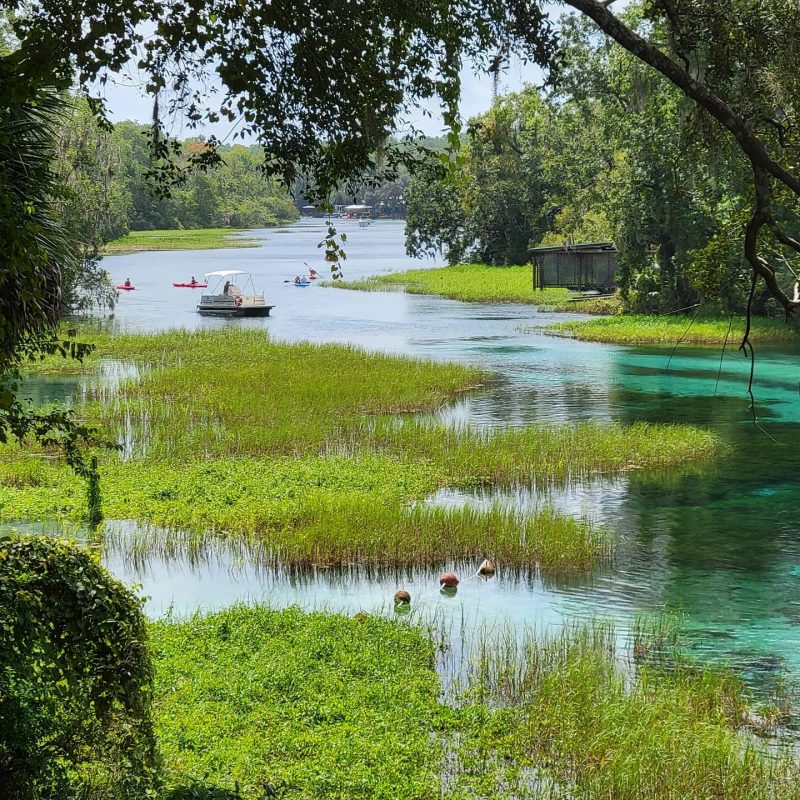 10 Things To Do At Rainbow Springs State Park Florida 4th largest spring