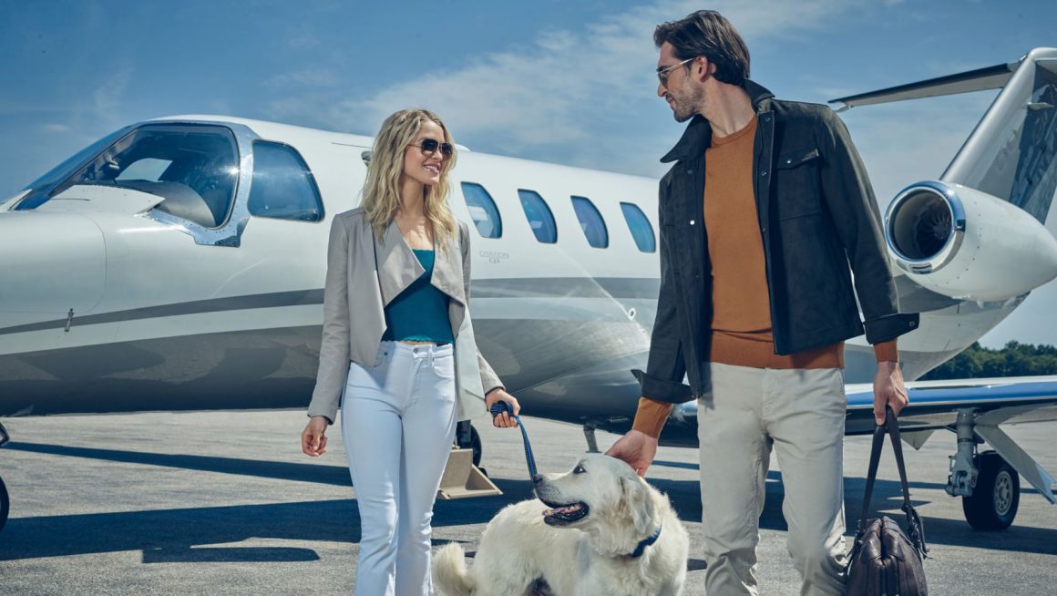 Ten airlines that allow large dogs in the cabin Aviation Blogs