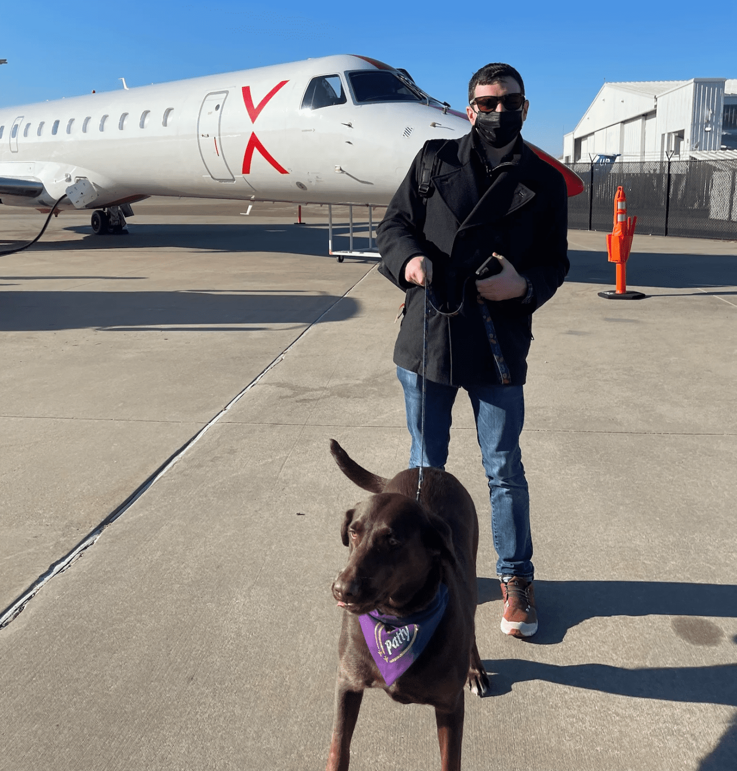 Ten airlines that allow large dogs in the cabin Aviation Blogs